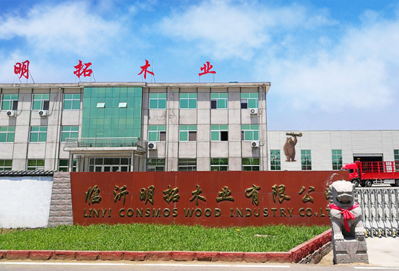 大力熊工廠實(shí)景